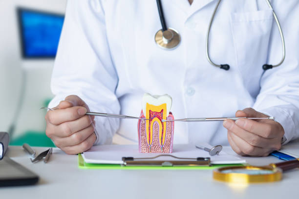 Best Emergency Dental Care for Abscessed Tooth in Union Mill, VA